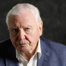 @wwf_uk's video Tweet