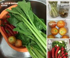 Jangan meletakkan sayur dan buah dalam tempat yang. Cara Simpan Sayur Sayuran Supaya Segar Walau Dah Beli Lebih Dari Seminggu