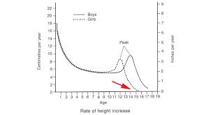 Is there a male height growth age limit? Growing Taller At What Age Do Men Stop Growing Upsmash