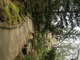 Trouvez des images de rock garden. Woodland Rock Garden Inniswood Garden Society