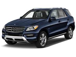 Image result for Selenite Gray 2015 ML