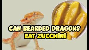 Zucchini is a type of summer squash, a member of the cucurbita pepo species. Is It Safe For Pet Beardies To Have Zucchini To Eat Youtube