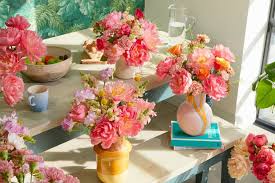 You can click words for definitions. Peony Season Where To Buy Pink Peonies And How To Care For Them