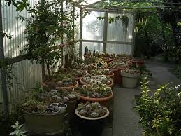 Willkommen Im Botanischer Garten Von St Triphon
