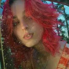 Lauren Frumkin's Instagram, Twitter & Facebook