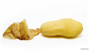 Together with hzpc growers we aim to deliver the best potatoes possible. The Germans Insatiable Love Affair With Potatoes Meet The Germans Dw 19 08 2019