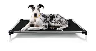 Best chew resistant indestructible dog beds. Best Dog Beds 2020 Perfectpets Com Au