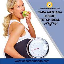 Mempunyai tubuh yang ideal menjadikan tampilan kita menjadi lebih menarik. Cara Menjaga Berat Badan Tetap Ideal Osborn