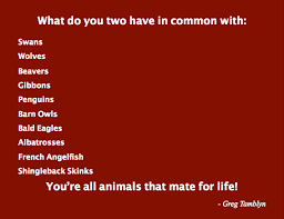 This is true every day, every year, and anniversaries are no exception. Funny Anniversary Quotes And Jokes