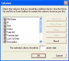 Internet download manager packets download image. How To Use Internet Download Manager Idm Main Window Customization