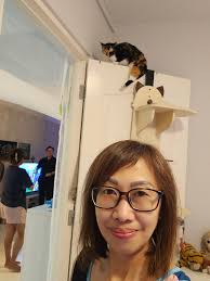 Missing cat!! Last seen around 5am 15/10 at blk 123 bukit batok central.  She is an indoor cat, she doesn't go out unsupervised. She is very wary of  strangers so please approach