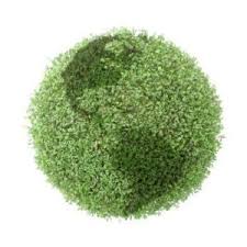 For starters, our cleaning equipment and solutions use a fraction of the moisture that most traditional. Green Certified Carpet Cleaning Green Leaf Chem Dry