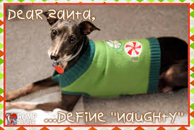 We did not find results for: Christmas Card Ideas For Your Dog Romp Italian Greyhound Rescue