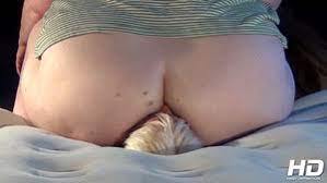 BBWFACESITTING VIDEOS, BBW FACESITTING PICS