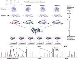 Track & locate your loved ones, pets & valuables anywhere, anytime with itraq's tiny, rechargeable gps+cellular+wifi global tracking device. Diagram Of The Itraq Workflow The Sequence Of The Workflow Is Download Scientific Diagram