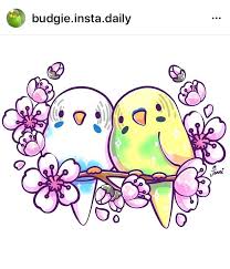 Parakeets Drawing 071018 Bird Drawings Parakeet Art Cute Cartoon Drawings