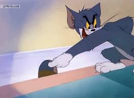 Including all the movie gifs, mouse gifs, and tv gifs. Tom Ve Jerry Gifs Primo Gif Latest Animated Gifs