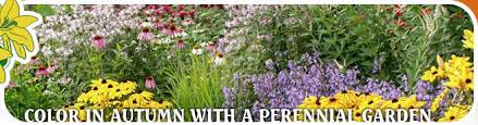 Complete List Shade Loving Perennial Flowers And Perennial Plants In Pittsburgh Pa Reilly S Ga Shade Loving Perennials Perennial Plants Flowers Perennials