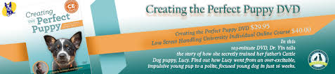 What is the easiest way to potty train a puppy? A Foolproof Plan For Potty Training Puppies Dr Sophia Yin
