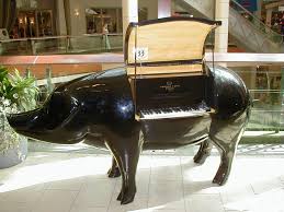 Pig Piano Piano Piano Funny Weird Pictures