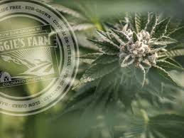 *free* shipping on qualifying offers. Manitou Springs Recreational Menu Maggie S Farm Marijuana Dispensaries