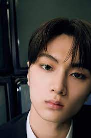 Jay Enhypen Hallyu Idol Jay Park Jay Profile Photo