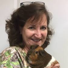 Exotic animal care is your local veterinarian in pasadena serving all of your needs. Mackey Exotic Animal Clinic Home Facebook