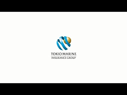 Life protection and savings for you and your family. Tokio Marine Life Insurance Malaysia Corporate Video English Youtube