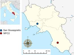 Start by choosing the type of map. Map Showing The Region Of Campania In Southern Italy The Colored Download Scientific Diagram