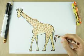 The giraffe pen blanks & zebra blanks are made with quality100% alumilite resin by kd creative woodworks in usa the giraffe & zebra pen blanks measure approx 22mm x 18mm x 133mm. How To Draw A Giraffe