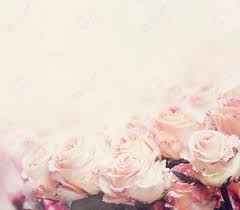 Globalrose.com has been visited by 10k+ users in the past month Beautiful Pastel Roses Wedding Bouquet Design With Copyspace Vintage Style Valentine Flower Border Greeting Card Artistic Floral Background Banner Stock Photo Picture And Royalty Free Image Image 78904708