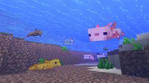 Otherwise, it inherits the color of one parent at random. Minecraft 1 17 Axolotl Wie Man Den Neuen Mob Findet Zahmt Oder Zuchtet Die Spiele Filme Tv Die Sie Lieben
