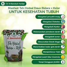 Proses pemisahan daun bidara dan tangkainya. Teh Bidara Kelor Shopee Indonesia