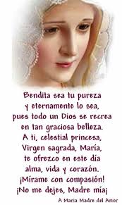 21 ideas de Mensajes bonitos de buenos días