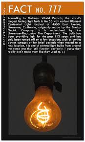 Yet Another 10 Awesome Quick Facts Fun Facts Wtf Fun Facts Facts