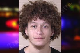 Ethan Strong — Walker County Jail Bookings