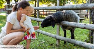 Pendant son congé parental, le contrat de travail du salarié est suspendu. Conge Parental Conditions Duree Et Remuneration Capital Fr