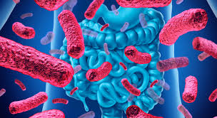 Image result for Probiotics