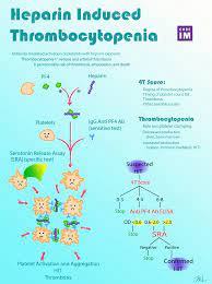 When these are given under the skin(subq), they are present int he body for 24 to 48 hours. 5 Pearls On Heparin Induced Thrombocytopenia Core Im Podcast