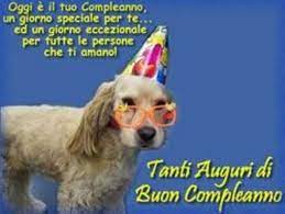 Immagini Auguri Compleanno Con Cagnolini 5 Birthday Wishes Joy Animals