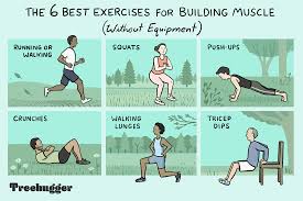 How they look and can be used. 6 Exercises For Building Muscle Without Equipment