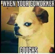 Winter Sickness Humor Work Quotes Funny Work Humor Work Memes