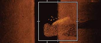 Humminbird helix 9 side imaging. Humminbird Mega Imaging Intensiv Erklart Bootsfahrer Magazin