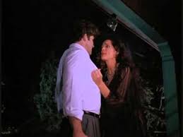 Indecent behavior ii (1994)  jordan mueller : Wn Rochelle Swanson Hard Bounty