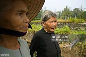 59 Yen Ha Stock Photos, High-Res Pictures, and Images