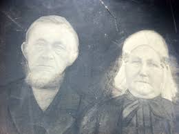 Overzicht » Zoekplaatjes » Stamboom Forum