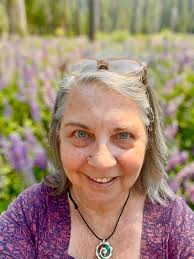 Transporting items from California to San Cris, Chiapas