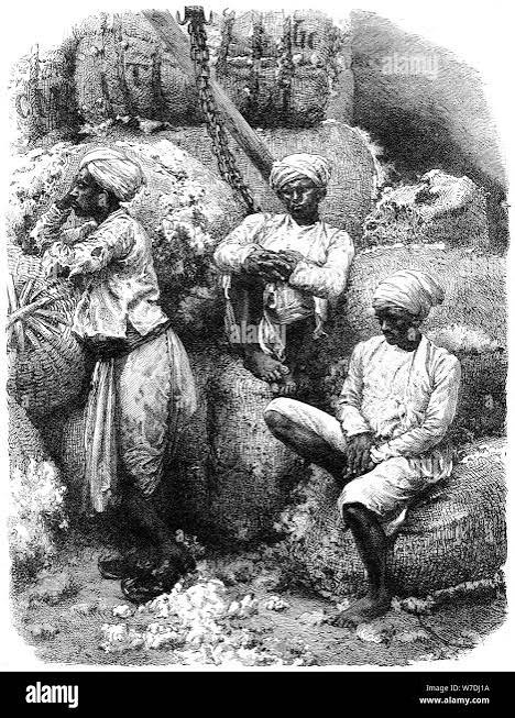 A cotton market in Bombay, India, 19th century. Artist: Unknown Stock Photo - Alamy
