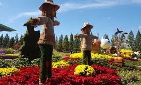Taman rusa kemang pratama kab bekasi terletak di provinsi jawa barat, indonesia. Korea Tourism Organization Indonesia Article