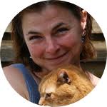 Circulating biomarkers of fibrosis in captive gorillas: a pilot study